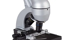 Органоиды, обнаруженные с помощью электронного микроскопа