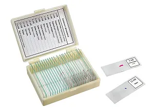 Набор микропрепаратов Микромед «Анатомия и физиология», 14 образцов, изображение 1