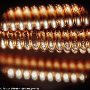 Микроскоп Levenhuk Rainbow 50L PLUS, изображение 22