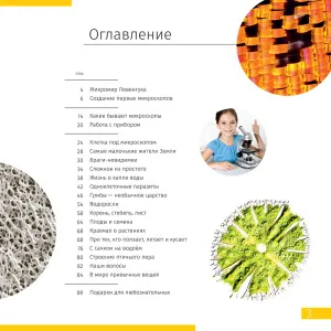 Книга знаний «Невидимый мир». Твердая обложка, изображение 2