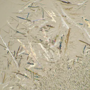 Микроскоп биологический MAGUS Bio 230T, изображение 22