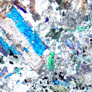 Микроскоп поляризационный MAGUS Pol 850, изображение 19