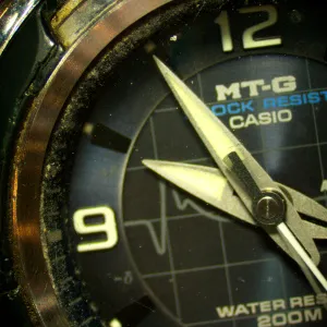 Микроскоп стереоскопический цифровой MAGUS Stereo D8T BASE, изображение 19