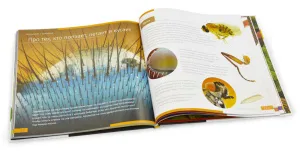 Книга знаний «Невидимый мир». Твердая обложка, изображение 10