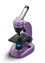 Аметист Аметист